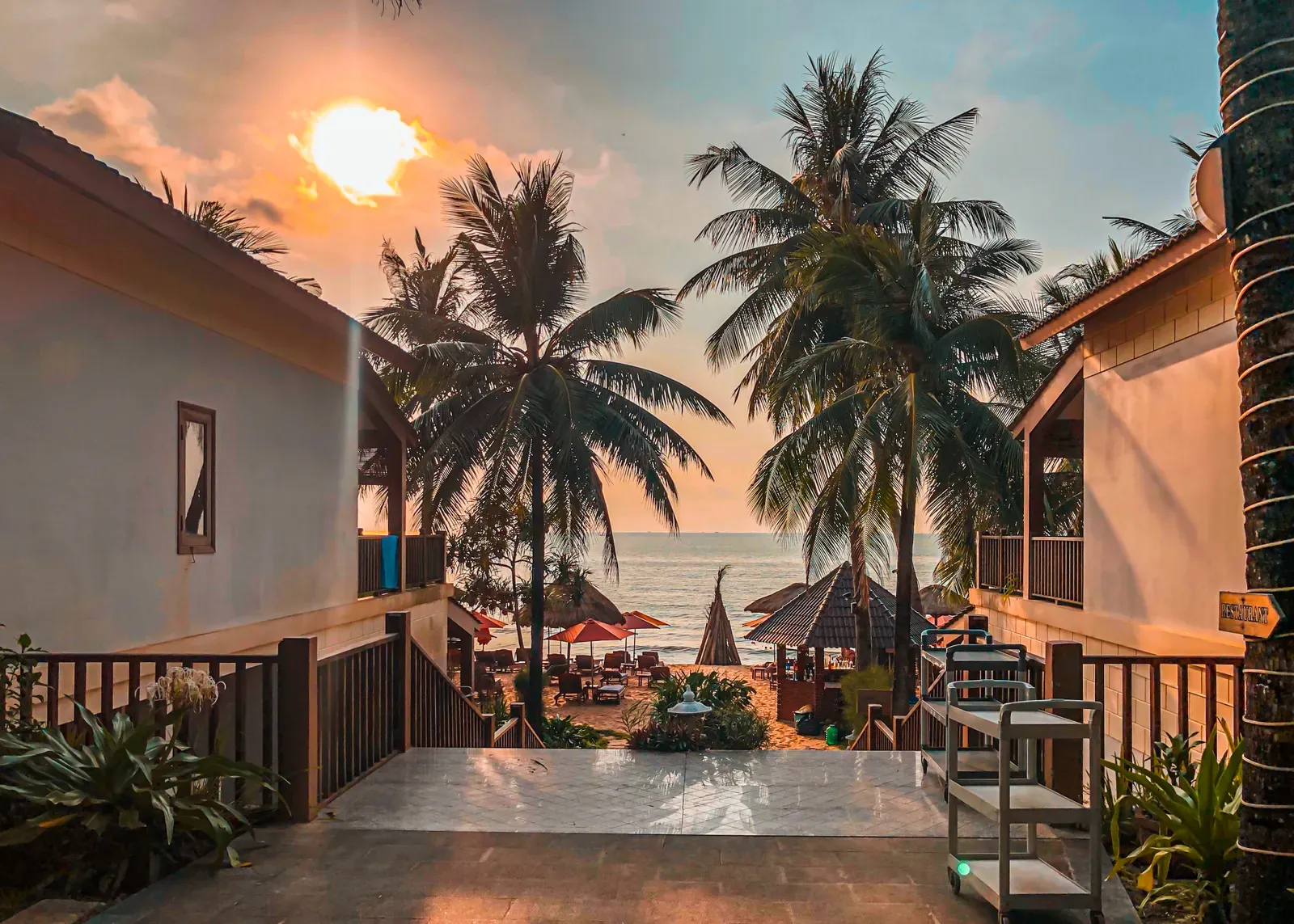 Palm trees and beach chairs beside the sea in Phu Quoc